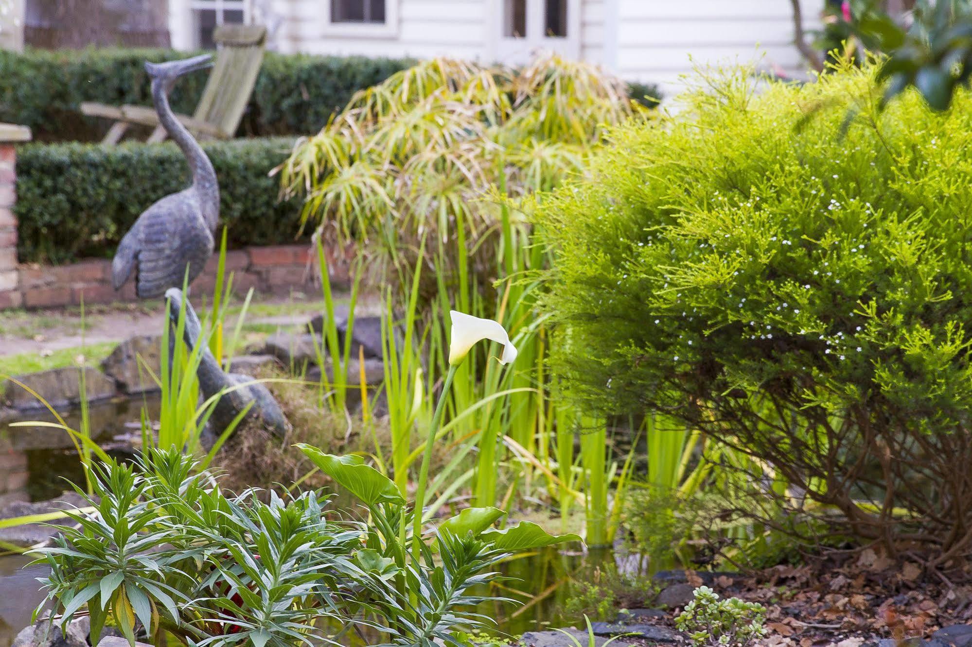 Glen Isla House Bed & Breakfast Phillip Island Каус Екстер'єр фото